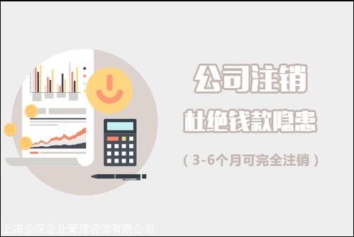 松江区吊销公司如何注销