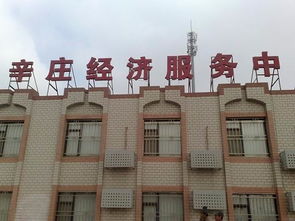 天津企业注册与代理服务全攻略 一站式解决工商执照、公司注册和代理记账